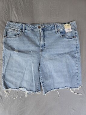 Terra & Sky Light Blue High-Rise Denim Bermuda Shorts